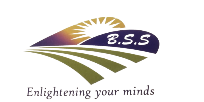 Brighton School System